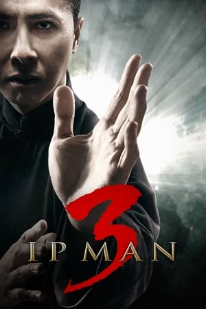 Ip Man 3 (2015) Hindi Dual Audio HDRip 400MB