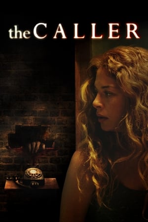 The Caller 2011 Dual Audio Hindi 480p BluRay 300MB